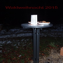 2015-11-28 16-51-39 Waldweihnacht_Bildgröße ändern